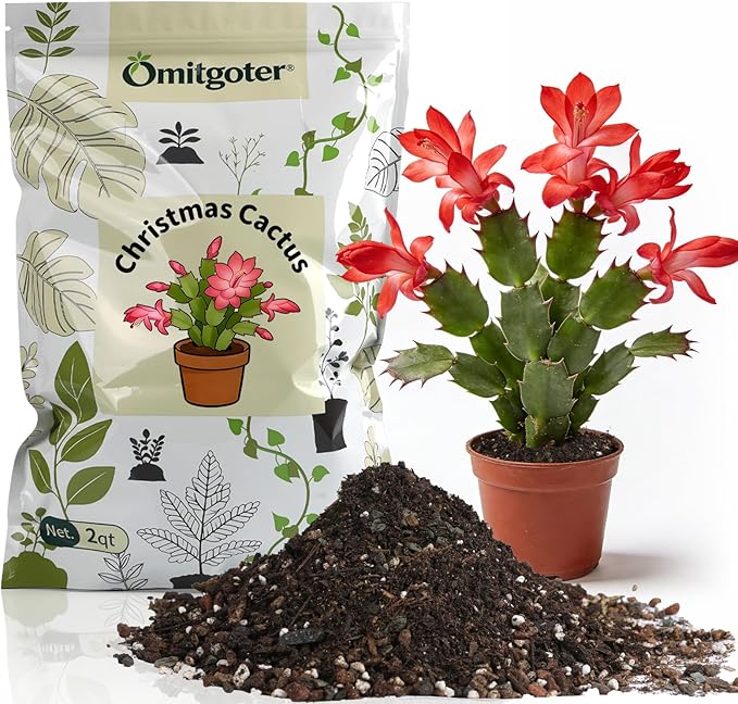 All-Natural Christmas Cactus Potting Soil Mix 1qt- Premium Well-Draining & Aerated ，Designed Specifically for Succulents and Cacti