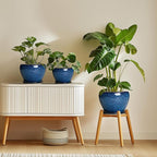 8 Inch Plant Pot - Ceramic Planter for Indoor Plants Outdoor, Round Planter with Drainage Hole and Saucer, Modern Decorative Flower Pots, Home Office Room Decor, Plant Lovers Gifts, Blue