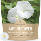 Moonflower – Tropical White Morning Glory – Large 1 Ounce Packet – 100 Flower Seeds for Planting – Ipomoea alba
