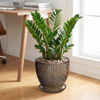 Ceramic Pots for Plants, 10 Inch Planters for Indoor Plants, Decorative Planter with Drainage Hole and Saucer, Round Indoor Plant Pots, Modern Planter, House Decor, Women Men Gifts, Retro Brown