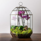 SuperMoss (90406) Glass Terrarium – Modern Glass Planter for Indoor Plants, Succulents, Air Plants & DIY Terrarium Kits, 10.6” x 14.5”, Solarium