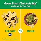 Miracle-Gro Garden Feeder with Water Soluble All Purpose Plant Food - Plant Fertilizer, Hose-end Feeder for Outdoors, 1 lb.
