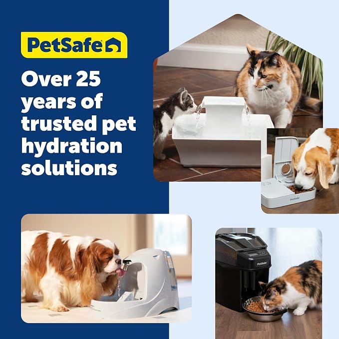 PetSafe Ceramic Pet Fountain with 4-Pack of Carbon Filters for Cats and Small Dogs 60 Oz Water Capacity Whisper-Quiet Water Flow Great for Shy or Timid Pets Fresh, Filtered Water