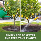 Lemon Tree Fertilizer – Liquid Plant Food for More Fruit, Better Flowering & Stronger Root Development, 32 oz