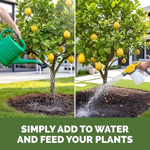 Lemon Tree Fertilizer – Liquid Plant Food for More Fruit, Better Flowering & Stronger Root Development, 8 oz
