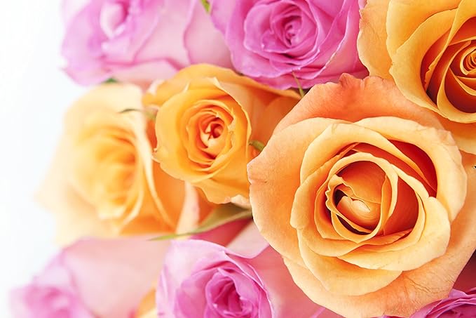 KaBloom - -Brighten My Day! Bouquet - Without Vase - Fresh Flowers for Birthday, Valentine's & Mother's Day