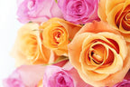 KaBloom - -Brighten My Day! Bouquet - Without Vase - Fresh Flowers for Birthday, Valentine's & Mother's Day