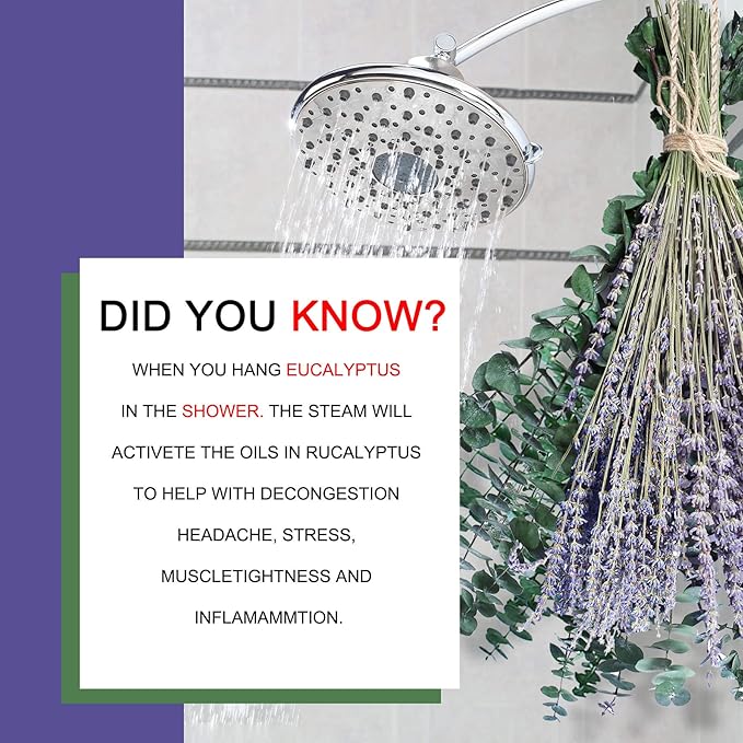 70PCS Preserved Eucalyptus Stems & Dried Lavender Bundles for Shower, 17'' Natural Real Live Eucalyptu Leaves Greenery Hanging Lavender Flowers Shower Plant, Fragrance, Vase Decor
