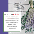 70PCS Preserved Eucalyptus Stems & Dried Lavender Bundles for Shower, 17'' Natural Real Live Eucalyptu Leaves Greenery Hanging Lavender Flowers Shower Plant, Fragrance, Vase Decor