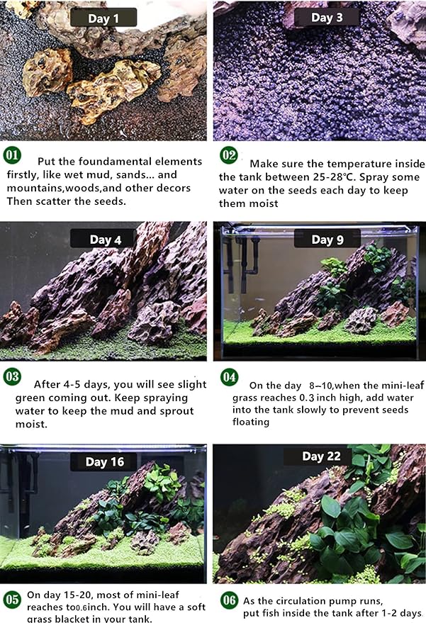 Aquarium Plant S.e,e,ds. not Fish Tank Aritificial Plastic Plant,10gram Mini-Leaf+8grame Long Hair Grass Fresh Water Carpet Decor