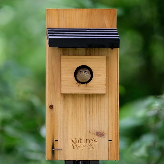 Nature’s Way Cedar Bluebird House for Outdoor Nesting, Predator Guard, Ventilated Design & Easy Access Clean-Out Panel, Natural Wood
