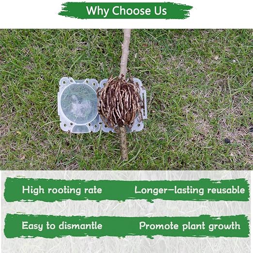 Supking 8 Pcs Air Layering Pods Plant Rooting Grow Propagation Ball Small Transparent Assisted Cutting Rooting Grafting Device Root Box for Plants