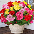TURNMEON Artificial Geraniums Flowers for Outdoors Summer Decoration, 4 Bundles Fake Flowers Silk Color Flowers UV Resistant No Fade Faux Plants for Planter Gardens Table Porch Indoor Cemetery Decor