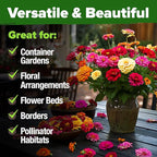 HOME GROWN Zinnia Seeds for 2026 - California Giant Mix - 14,600+ (4 oz) Plant Wildflower Blooms Bulk Seeds for Planting Flowers Outside - Pollinator Gardens (Zinnia elegans)