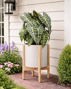 D'vine Dev Planter Pot with Stand - 10 Inch Plastic Cylinder Flower Pot with Wood Planter Holder for Indoor, Oatmeal Pot + Natural Stand, 55-C-M-4