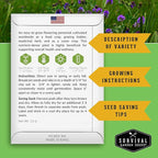 Ultimate Medicinal Herb Seeds Variety Pack – 36 Heirloom Non-GMO Healing Herbs for Planting | Wellness & Apothecary Garden Kit for Herbalists, Homesteaders – Survival Garden Seeds (28,000+)