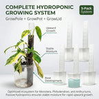 THICCLY Small GrowLid 10 Pcs (Clear) - Self Watering Clear D-Shaped Plastic Moss Pole Hydroponics Growing System Kratky Hydroponic Kit Moss Pole Monstera Plant Support Philodendron and Anthuriums