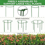 LEOBRO Plant Support Plant Stakes, 12pcs Peony Cages and Supports, Metal Garden Stakes Plant Supports, Plant Support Stakes, for Peony, Tomato, Hydrangea, Indoor Outdoor Plants, 10" W x 24" H