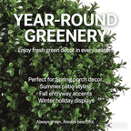 Artificial Boxwood Topiary Trees, 24 Inch Faux Plants for Front Door Porch Decor, 2 Pack UV Resistant Fake Greenery in Pots for Patio Entryway Indoor Outdoor