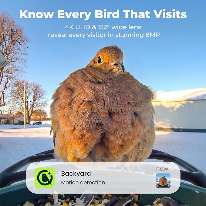Kiwibit Solar Smart Bird Feeder with Camera, AI Bird Species Identification, 8MP Photos, 4K UHD Video Live Stream Wild Bird House Feeders for Outdoors, Bird Watching Gifts for Bird Lovers, Green