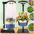 Large Plant Venus Fly Trap Terrarium Kit with Grow Light Timer&Metal Stand, African Violet Pots Self Watering Planter for Herbs,Carnivorous Plants,Gardening for Mom Garden Lover