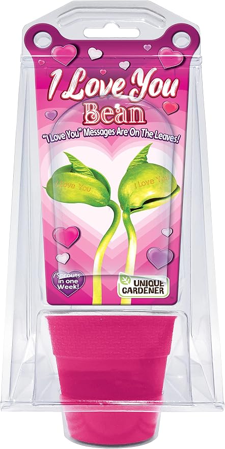 Unique Gardener "I Love You Beans Grow Kit - Includes 2 Engraved Lima Beans, Planter, Terrarium, & Germination Disk - Sprouts in Just 1 Week - Grow a Romantic Surprise