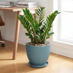 10 Inch Plant Pot, Ceramic Flower Pots with Drainage Hole and Saucer, Round Modern Planters for Indoor Plants, Decorative Plant Pots, Home Patio Decor, Plant Lover Gifts, Glaze Blue