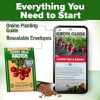 HOME GROWN Non GMO Cherry Belle Radish Seeds 800+ Heirloom Vegetable Seeds for Planting Outdoors Harvest in 30 Days Red Radishes, Spring and Fall Garden(Raphanus Sativus)