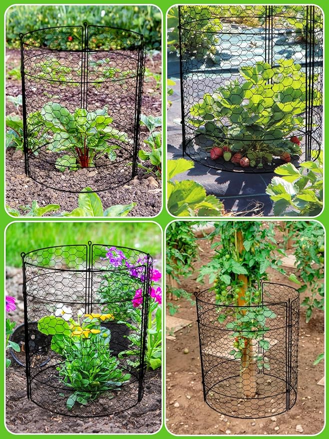 Kalolary 10 Packs Plant Protectors from Animals, 20'' x 14 Large Wire Plant Cage Metal Garden Plant Protection Chicken Wire Cloche with Stakes for Keeping Bunny Squirrels & Pets Out