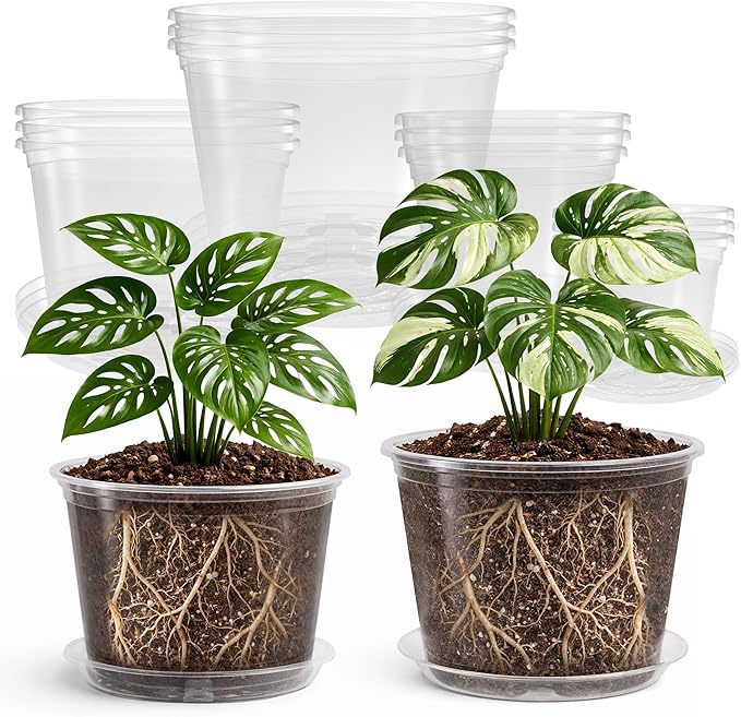 Bluepro 12 Pack 10/8/6/5 Inch Reinforced Large Clear Nursery Pots with Saucers, Transparent Variety Pack Plastic Plant Pot with Drainage Holes for Vegetable Propagation, Root Cutting, Seed Starting