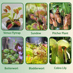 Carnivorous Plant Soil Mix 1qt, Pure Peat Moss and Perlite Mixture for Venus, Pitcher, Butterwort, Nepenthes, Sundew