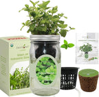 Hydroponic Herb Growing Kit, Self-Watering Mason Jar Herb Garden Starter Kit Indoor, Grow Your Own Herbs from Seeds (Peppermint)