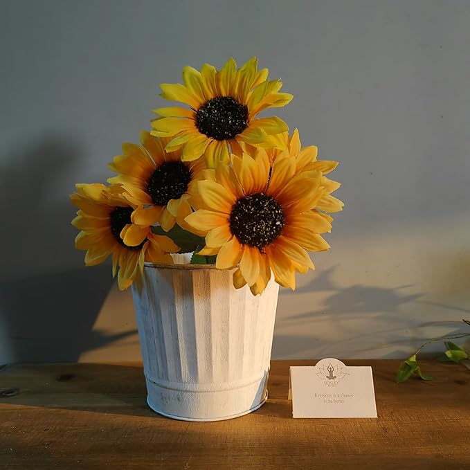 Hosley Pack of 2 White Wash Metal Planters, 5" Diameter x 4.8" High Rustic Farmhouse Buckets for Floral Arrangements, Weddings, Parties, Events & Home Décor