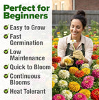 HOME GROWN Dwarf Zinnia Seeds Mix - 8525 Pumila Zinnia Seeds for 2026 (2oz) | Zinnia Flower Seeds for Planting Outdoors | Colorful Cut Annual Flowers for Summer Gardens & Containers (Zinnia elegans)