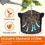Gardzen 10-Pack 1 Gallon Grow Bags, 300G Thickened Fabric Grow Bags with Handles, Heavy Duty Aeration Plant Grow Bags