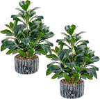 Der Rose 2 Pack Fake Plants Artificial Plants Indoor with Black and White Striped Pots for Room Home Bathroom Bedroom Kitchen Decor
