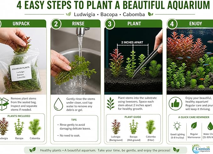 Live Freshwater Aquarium Plant Bundle Mixed Stem Plants for Fish Tanks