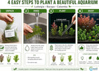 Live Freshwater Aquarium Plant Bundle Mixed Stem Plants for Fish Tanks