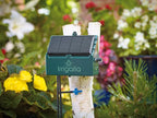 Bosmere Irrigatia Sol-C12 Solar Automatic Watering System for Water Barrels, green