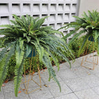 Artificial Ferns for Outdoors, 68" Fake Fern Artificial Plants Large, UV Resistant Faux Boston Fern Suitable for Porch Planters Home Indoors Entrance Patio Garden Porch (1 Stem)