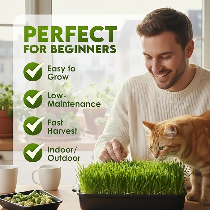 Nature Jims Sprouts Wheat Grass Seeds – Non-GMO Organic Seeds for Planting, Cat Grass for Growing & Sprouting – Resealable Bag for Fresh Wheatgrass Sprouts – Vitamins, Minerals, & Fiber-Rich –16oz