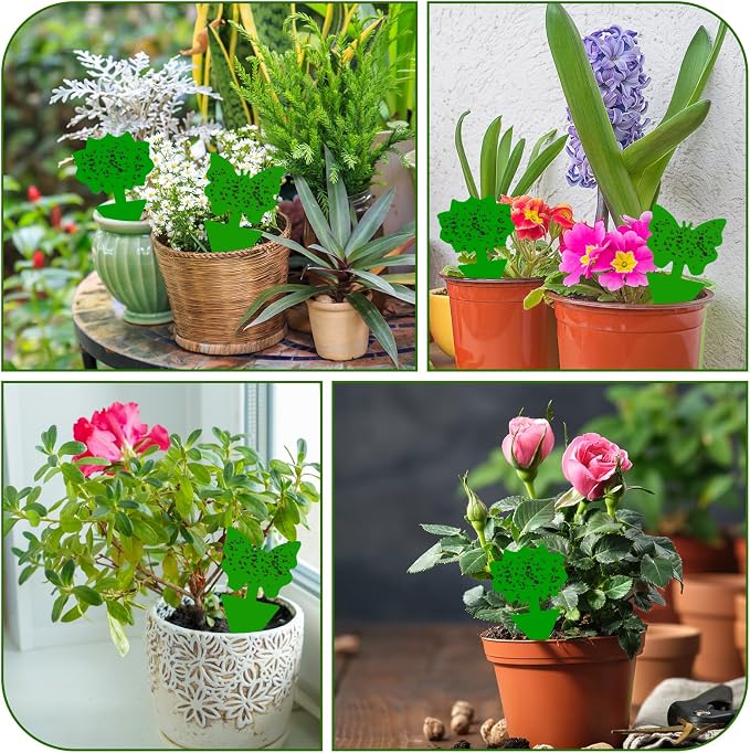 Fruit Fly Traps, 100 Pack Green Sticky Traps, Fungus Gnat Traps, Plant Fly Stickers for Indoor and Outdoor Use Protect The Plant