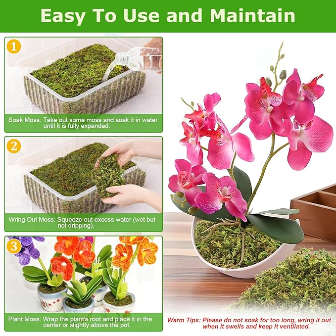 Legigo 3.5OZ Sphagnum Moss for Plants, 4QT Natural Orchid Moss Potting Mix Dired, Green Forest Plant Moss for Orchid Repotting Carnivorous Succulents Indoor Potted Plants Gardening and Reptiles