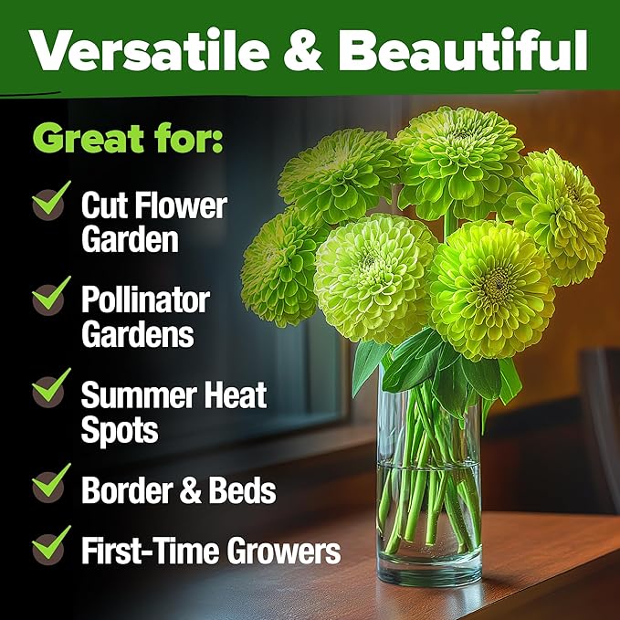 HOME GROWN Envy Zinnia Seeds (2oz) – 8500 Rare Lime Green Annual Zinnia Flower Seeds for Planting, Fast-Growing Bulk Seed Variety, Premium Garden Companion for 2026 Bloom (Zinnia elegans)