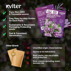 KVITER 1,000 Wild Bergamot Seeds for Planting (Monarda fistulosa) – Bee Balm Native Wildflower, Pollinator Magnet, Organic & Non GMO – Perennial Flower Seeds to Plant Outside in Flower/Herb Garden