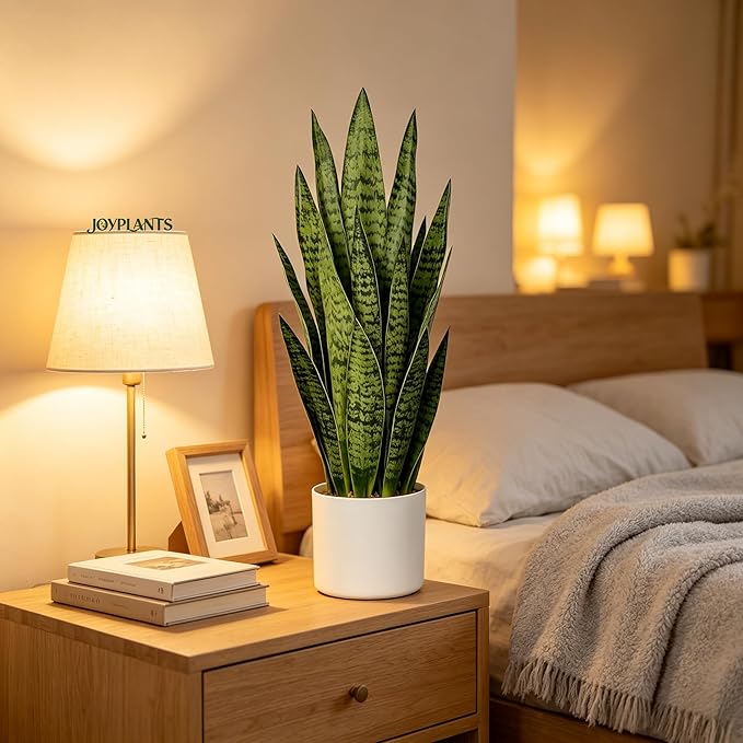 Fake Snake Plant, 27in Artificial Plant with White Pot Realistic Leaves, Low Maintenance Potted Plant for Indoor Decor, No Watering Needed, Perfect for Home, Office & Pet Areas
