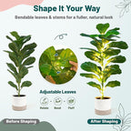 Der Rose 2 Pack 30" Artificial Fiddle Leaf Fig Tree, Mid-Size Realistic Plants Indoor & Outdoor Fake Plants for Apartment Home Living Room Office Decor