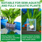 2026 Latest Upgraded Aquarium Plant Holder Adjustable Height with Extendable Hook and Suction Cup for Fish Tank Aquaponic Plant Cultivation and Aquascape Accessories Decorations (2 Pack) Transparent