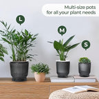 T4U 4.8 Inch Self Watering Plant Pot, 4 Pack Self Watering Pots, Self Watering Planter with Reservoir, Small Self Watering Pots for Indoor Plants, African Violets (4 Pack 4.8", Translucent Gray)