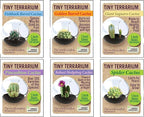 Unique Gardener Tiny Terrarium Plant Seeds 6 Variety Cacti Pack, DIY Indoor Succulents and Live Plants for Home or Garden Planting, Assorted Cacti Pack